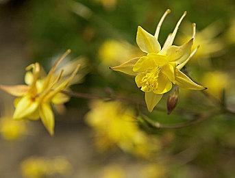 3DM速报：微软称动视暴雪没啥特别 《异度神剑3》简中翻译引不满